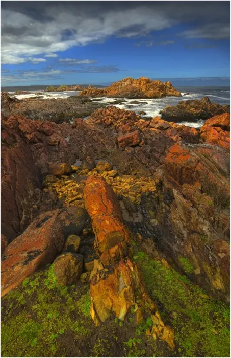Framed Print : The pristine and wild Tarkine wilderness area and coastline, Tasmania, Australia