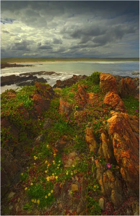 Framed Print : The pristine and wild Tarkine wilderness area and coastline, Tasmania, Australia