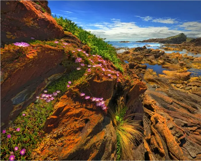 Framed Print : The pristine and wild Tarkine wilderness area and coastline, Tasmania, Australia Framed Print : The pristine and wild Tarkine wilderness area and coastline, Tasmania, Australia