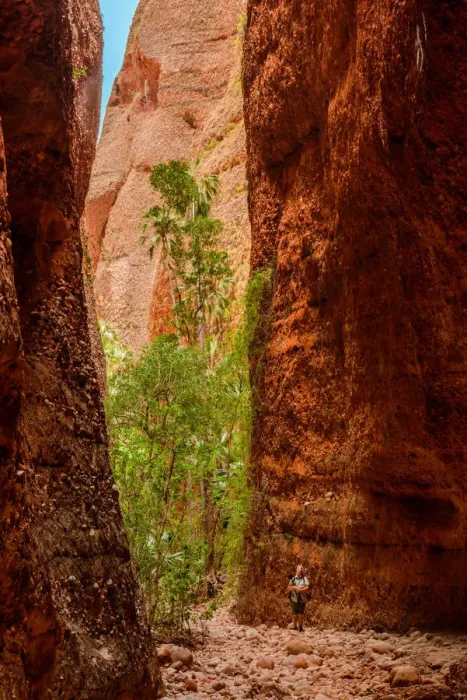 Framed Print : Purnululu (Bungle Bungles) National Park, Western Australia, Australia