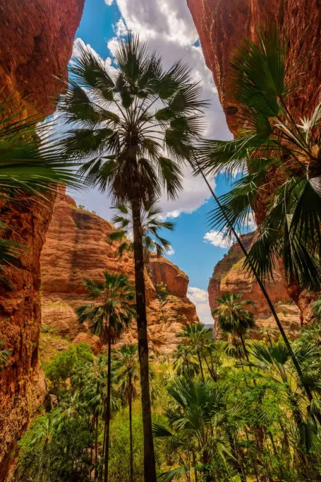 Framed Print : Purnululu (Bungle Bungles) National Park, Western Australia, Australia