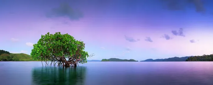 Framed Print : Purple Prospect