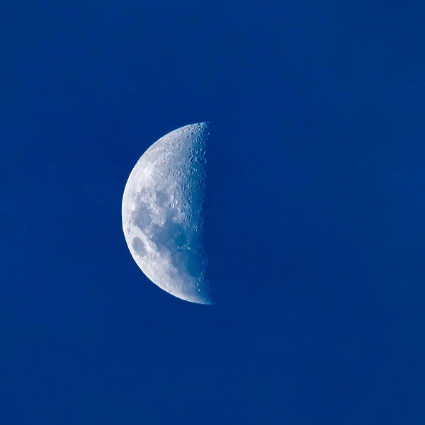 Quarter moon during the day