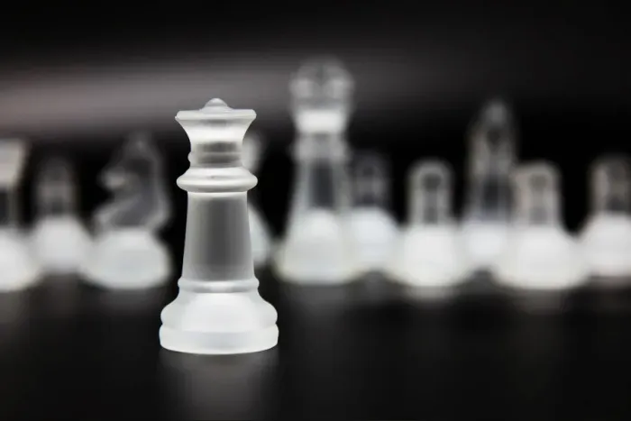 Framed Print : The Queen of Chess