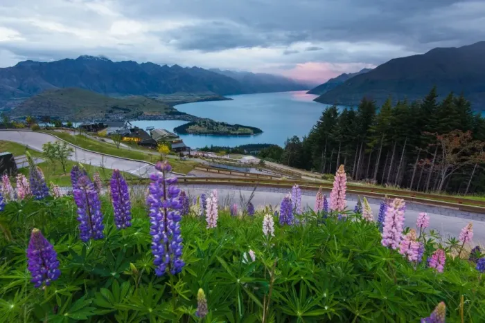 Framed Print : Queenstown from above