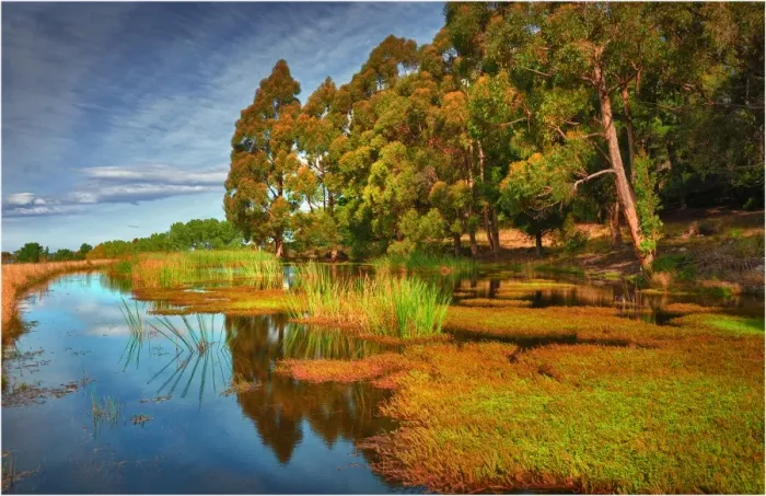 Framed Print : Quiet pond near Kettering in the southern area of the island state, Tasmania, Australia