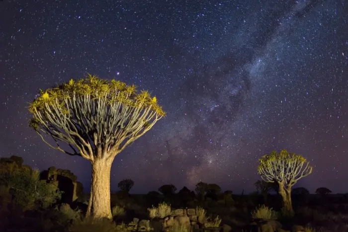 Framed Print : Quiver Trees with Milky Way at Giants Playground in Keetsmanshoop, Namibia, Africa