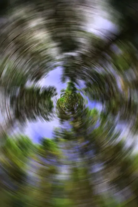 Framed Print : radial tree blur