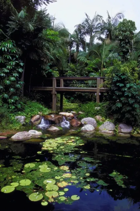 Framed Print : Rain forest walk, South Bank, Brisbane, Australia