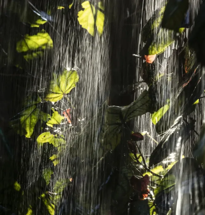 Framed Print : Rain series #1