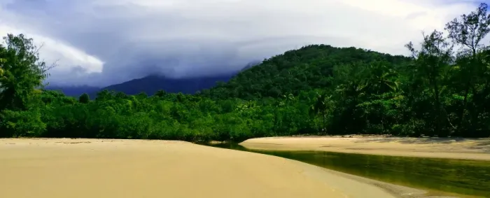 Framed Print : Rainforest