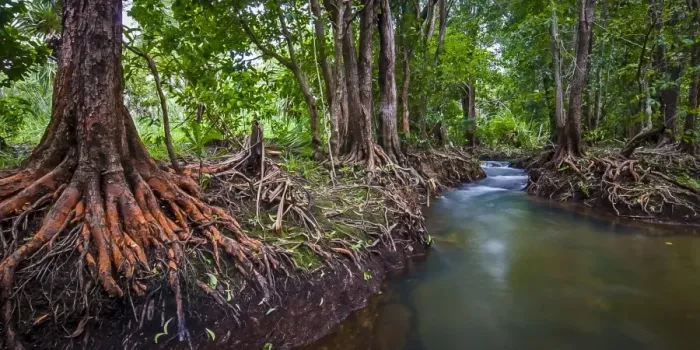 Framed Print : Rapid Creek - Darwin Framed Print : Rapid Creek - Darwin