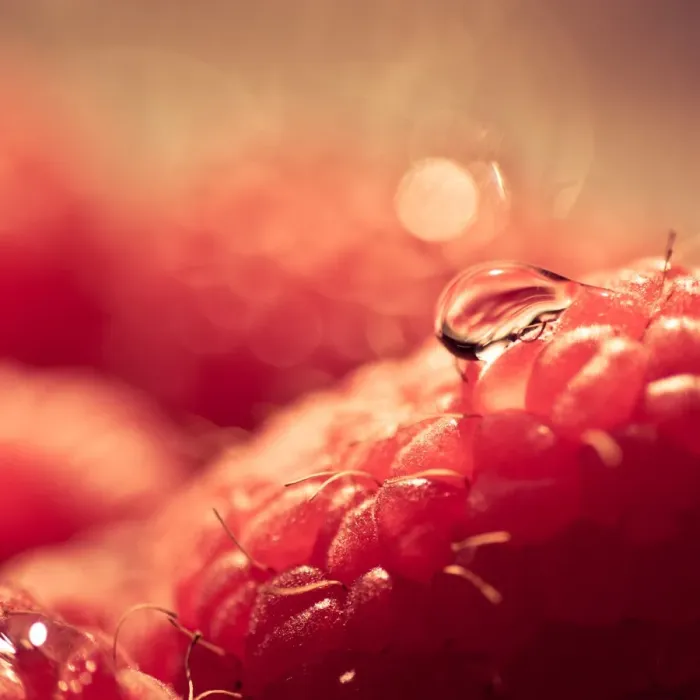 Framed Print : Raspberries
