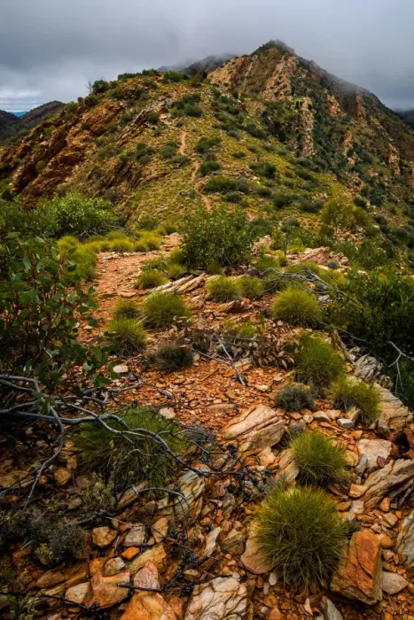 Framed Print : Razorback Ridge at West Macdonnell Ranges Framed Print : Razorback Ridge at West Macdonnell Ranges