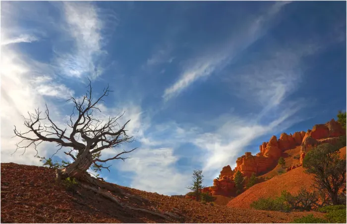 Framed Print : Red Canyon, near the Bryce Canyon national park, Utah, USA Framed Print : Red Canyon, near the Bryce Canyon national park, Utah, USA