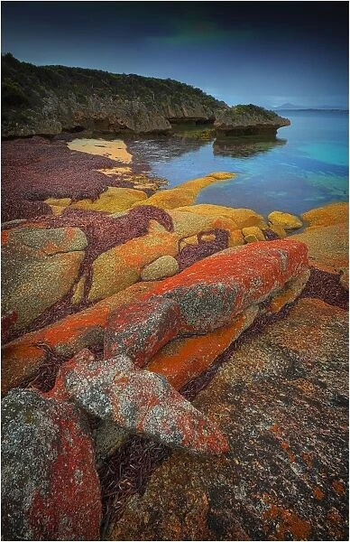 Red coloured boulders, caused by lichen growing at the high tide mark on Flinders Island, Bass Strait, Tasmania, Australia