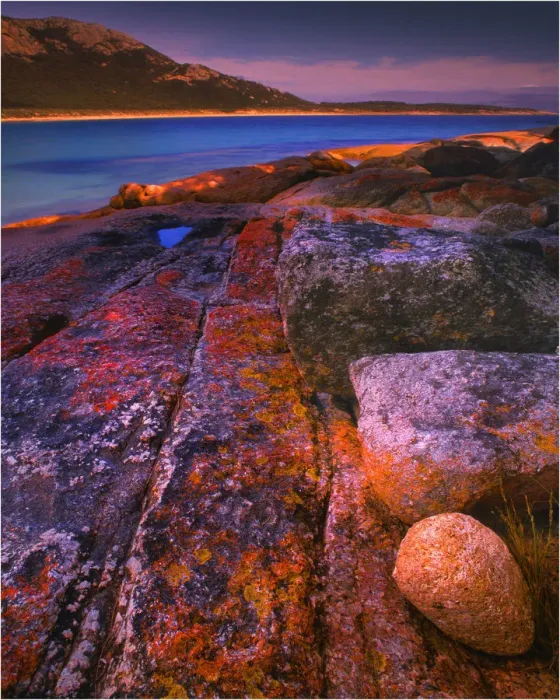Framed Print : Red coloured boulders, caused by lichen growing at the high tide mark on Flinders Island, Bass Strait, Tasmania, Australia Framed Print : Red coloured boulders, caused by lichen growing at the high tide mark on Flinders Island, Bass Strait, Tasmania, Australia