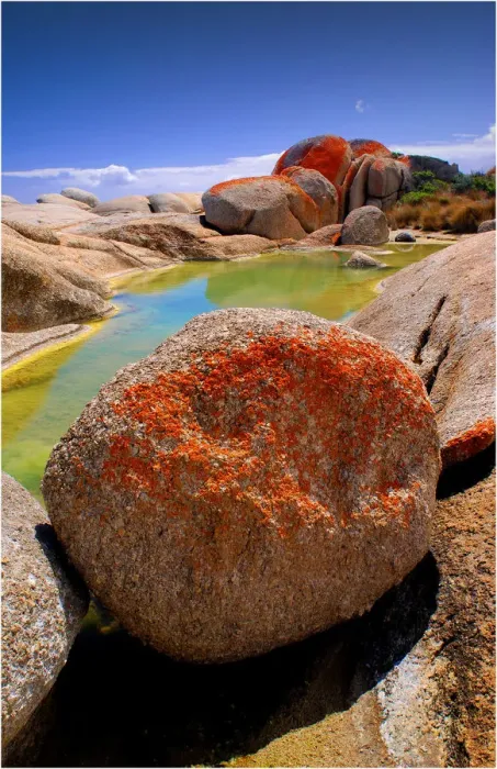 Framed Print : Red coloured boulders, caused by lichen growing at the high tide mark on Flinders Island, Bass Strait, Tasmania, Australia Framed Print : Red coloured boulders, caused by lichen growing at the high tide mark on Flinders Island, Bass Strait, Tasmania, Australia