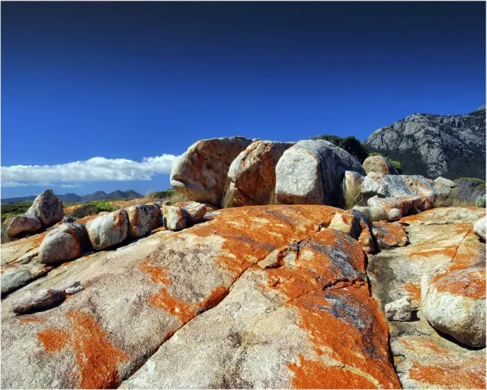 Framed Print : Red coloured boulders, caused by lichen growing at the high tide mark on Flinders Island, Bass Strait, Tasmania, Australia Framed Print : Red coloured boulders, caused by lichen growing at the high tide mark on Flinders Island, Bass Strait, Tasmania, Australia