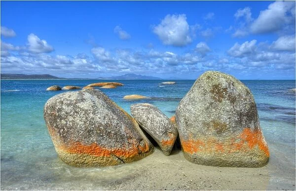 Red coloured boulders at Sawyers bay, caused by lichen growing at the high tide mark on Flinders Island, Bass Strait, Tasmania, Australia