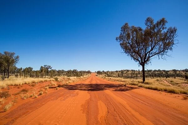 Red outback road. Northern Territory