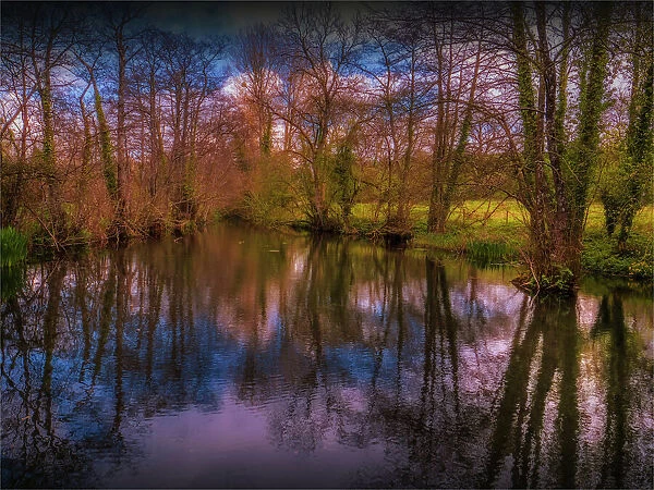 Reflections in a pond at Fontmell Magna, Dorset, England, UK