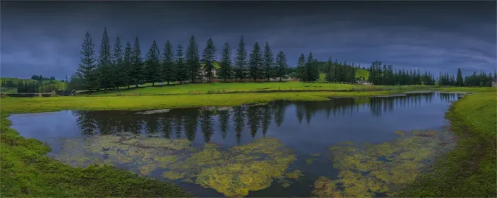 Framed Print : Reflections in standing water on the Kingston common, Norfolk Island, south pacific ocean