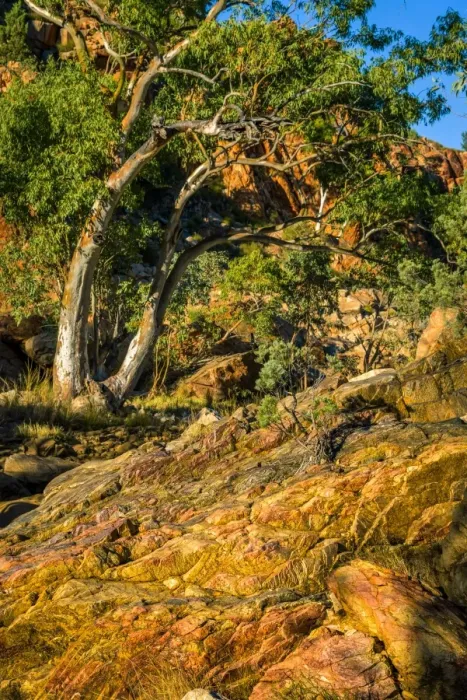 Framed Print : Refuge Spring at West Macdonnell Ranges Framed Print : Refuge Spring at West Macdonnell Ranges