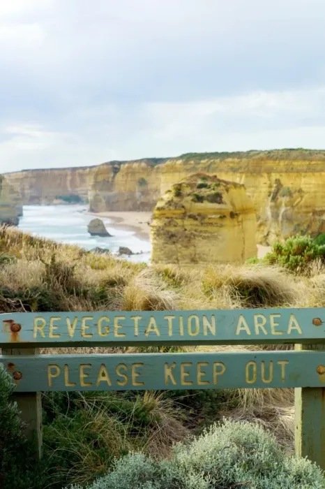 Framed Print : Revegetation area at the 12 Apostles Framed Print : Revegetation area at the 12 Apostles