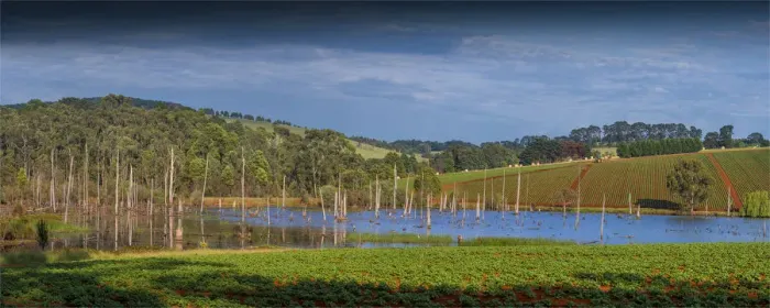 Framed Print : Rich farmland near Mirboo north, Victoria, Australia Framed Print : Rich farmland near Mirboo north, Victoria, Australia