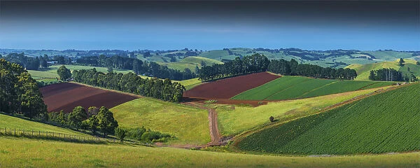 Rich farmland near Mirboo north, Victoria, Australia