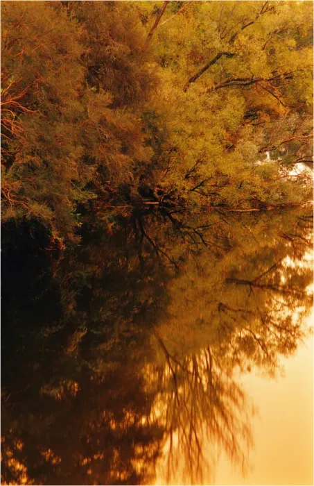 Framed Print : The rich hues and colours of autumn in Central Victoria Framed Print : The rich hues and colours of autumn in Central Victoria