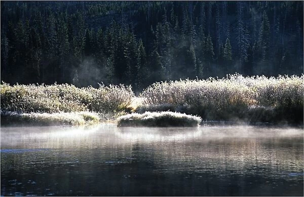 Rising mist on the Yellowstone River, Wyoming