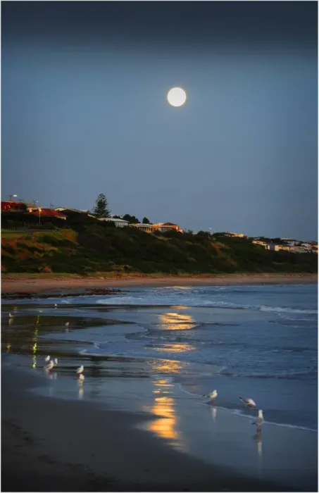Framed Print : Rising moon Victor Harbour Fleurieu Peninsula South Australia Framed Print : Rising moon Victor Harbour Fleurieu Peninsula South Australia