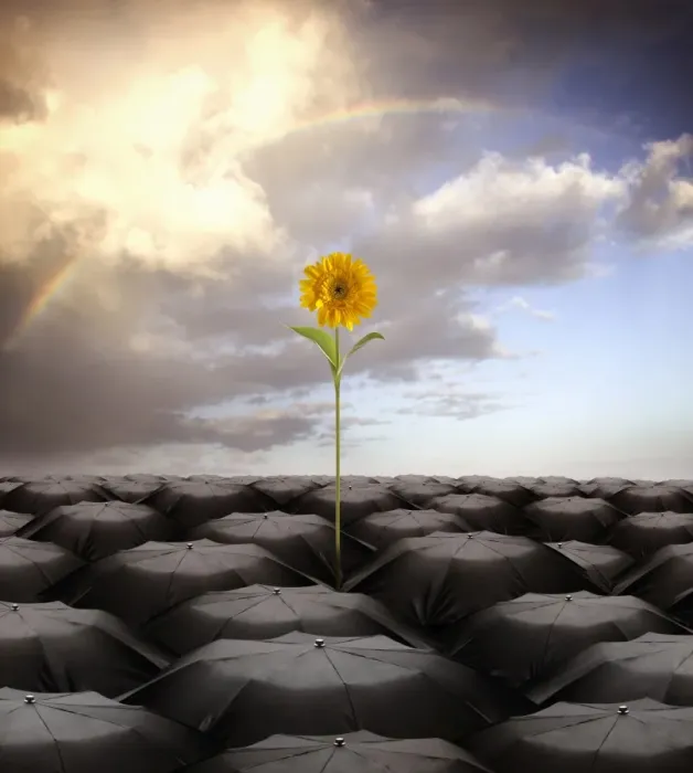 Framed Print : rising above the odds