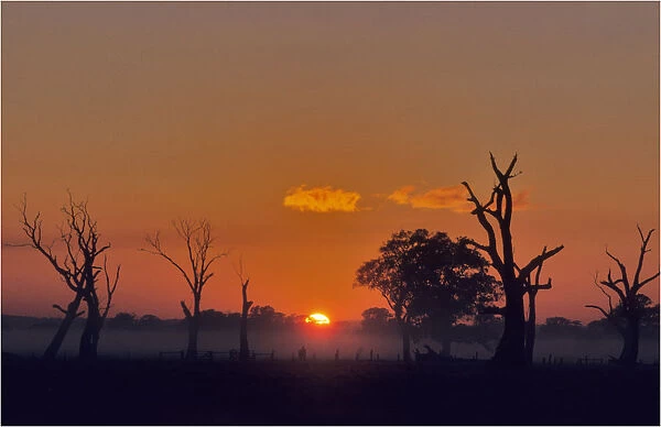 Rising sun at Carrum downs, Victoria, Australia