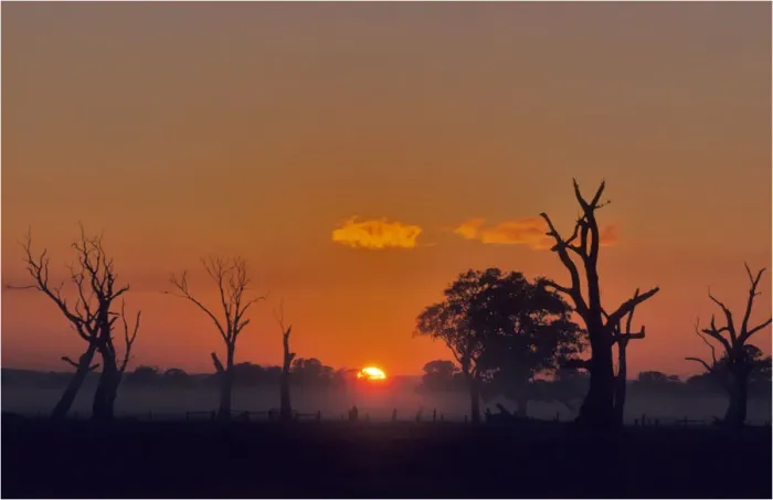Framed Print : Rising sun at Carrum downs, Victoria, Australia
