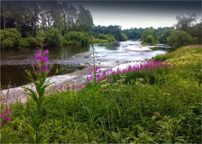 Framed Print : The river Tweed in the borders area of south eastern Scotland