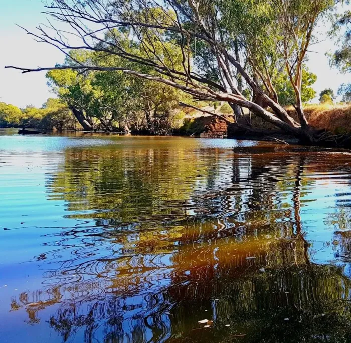 Framed Print : Riverbank Reflections