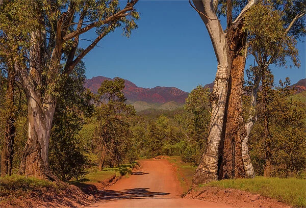 Road in the Flinders Ranges South Australia