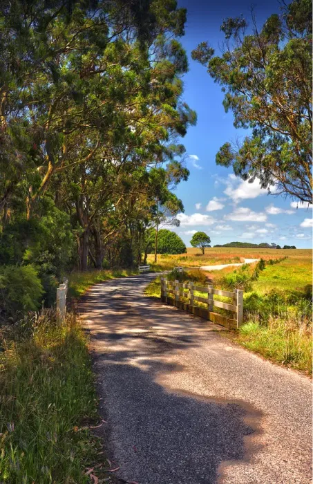 Framed Print : Back Road King Island Framed Print : Back Road King Island