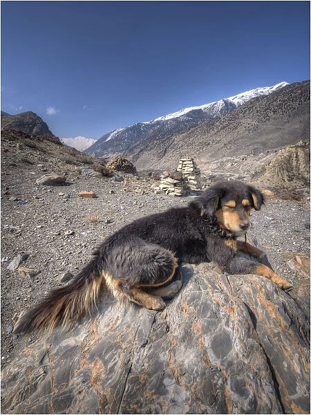 A road-side scene near Jonsom, Mustang province, Western Himalayas, Nepal