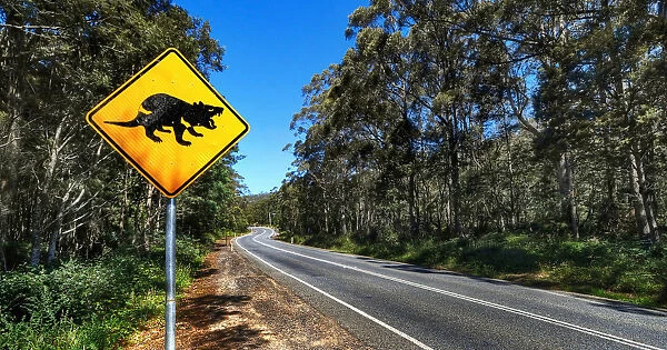 Road Sign of Tasmania Devil Crossing in Hobart, Eaglehawk Neck, Tasmania, Australia