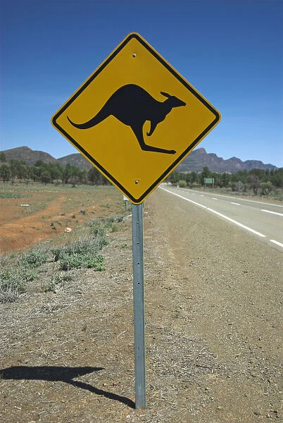 Road sign warning of kangaroos, Flinders Ranges, South Australia, Australia