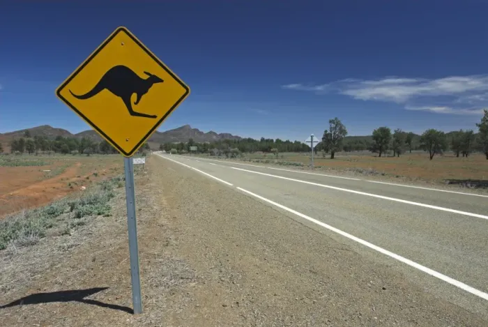 Framed Print : Road sign warning of kangaroos, Flinders Ranges, South Australia, Australia Framed Print : Road sign warning of kangaroos, Flinders Ranges, South Australia, Australia