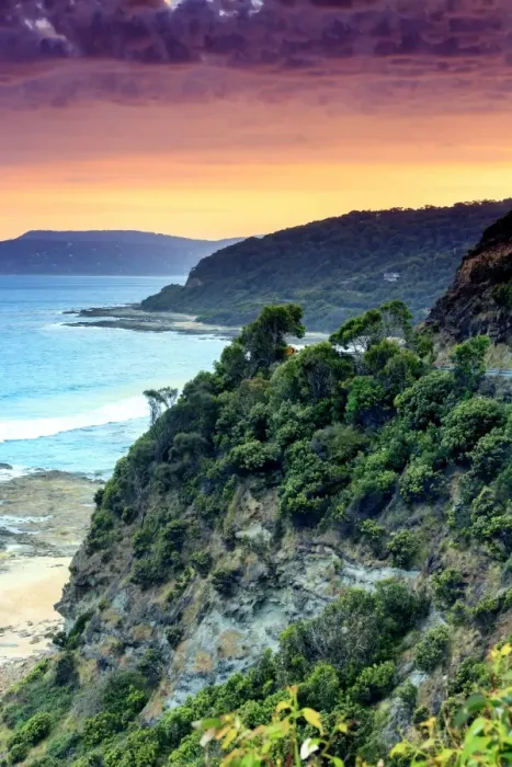 Framed Print : A road trough the nature, great ocean road, Victoria, Australia, South Pacific