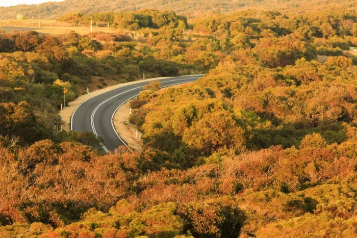 Framed Print : A road trough the nature, great ocean road, Victoria, Australia, South Pacific