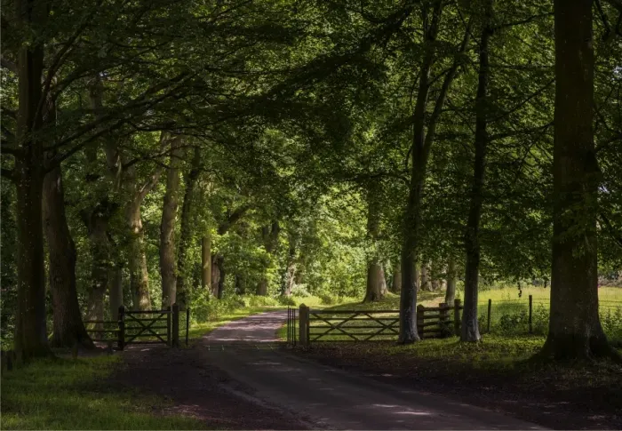 Framed Print : The roadway near Croft castle, Yarpole, Herefordshire, England, United Kingdom Framed Print : The roadway near Croft castle, Yarpole, Herefordshire, England, United Kingdom