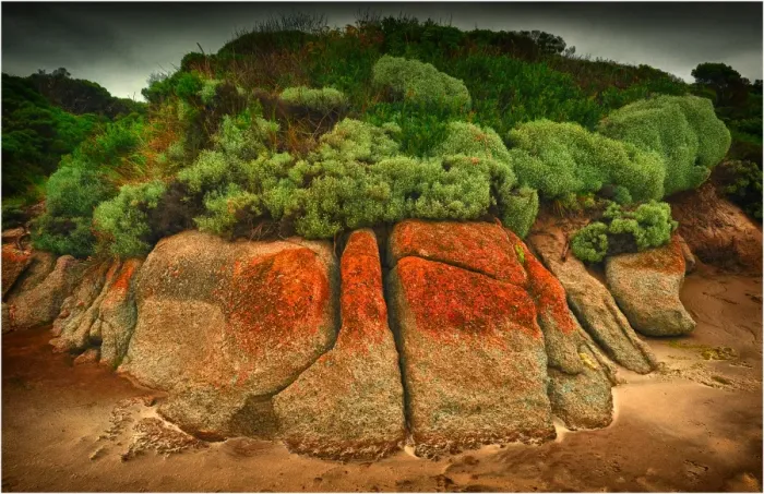 Framed Print : Rock formations, Disappointment bay, King Island Bass Strait, Tasmania, Australia