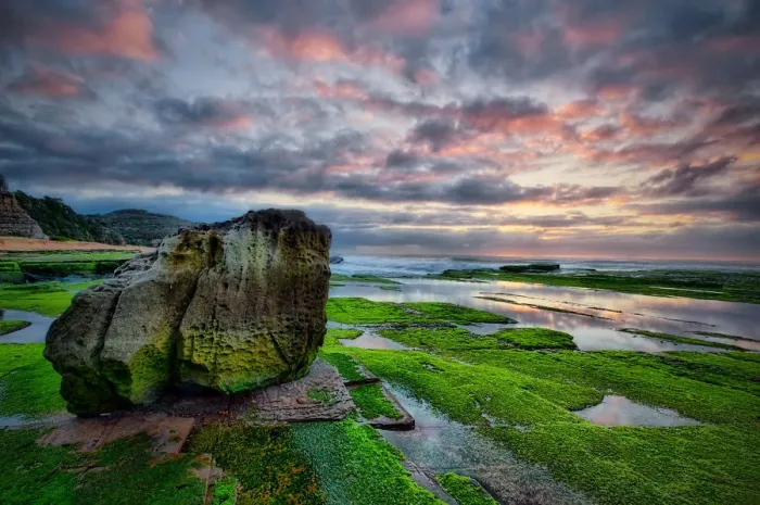 Framed Print : Rock at low tide Framed Print : Rock at low tide
